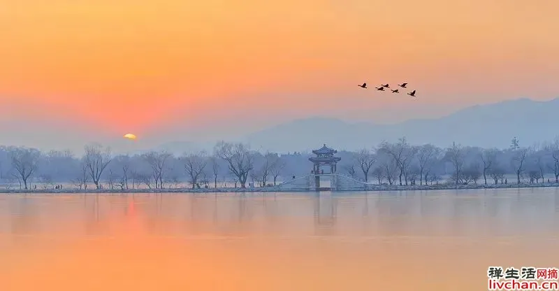 “垃圾快乐”,正在拖垮你的人生