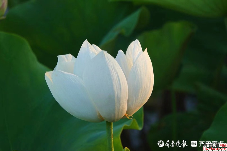 《史记》中的30句名言和注解及寓意 蕴含古人的大智慧