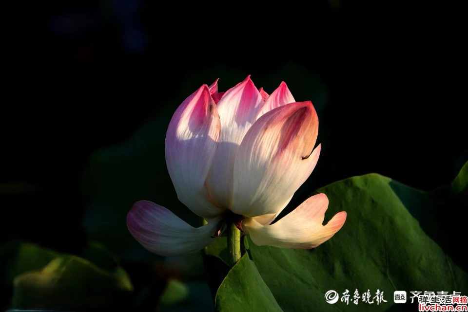 有没有哪句话让你突然就顿悟了? 有没有哪句话让你突然就顿悟了?