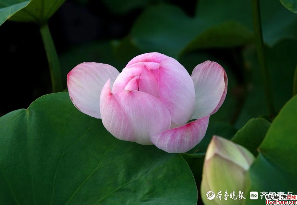 有没有哪句话让你突然就顿悟了? 有没有哪句话让你突然就顿悟了?