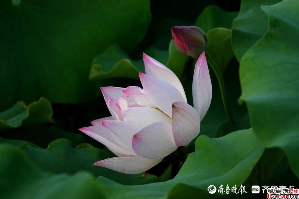 那些一眼万年的诗句