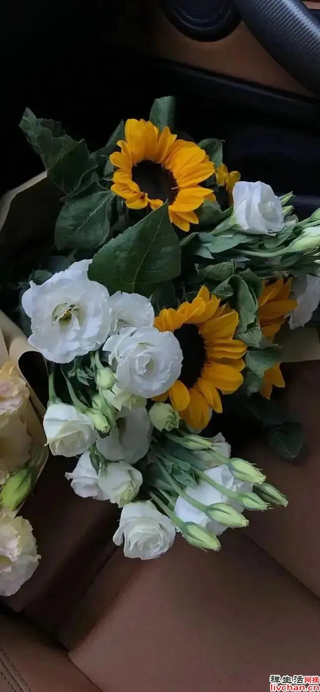 深情活过的人，才像个人