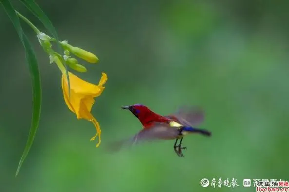 渡人,渡心,渡自己