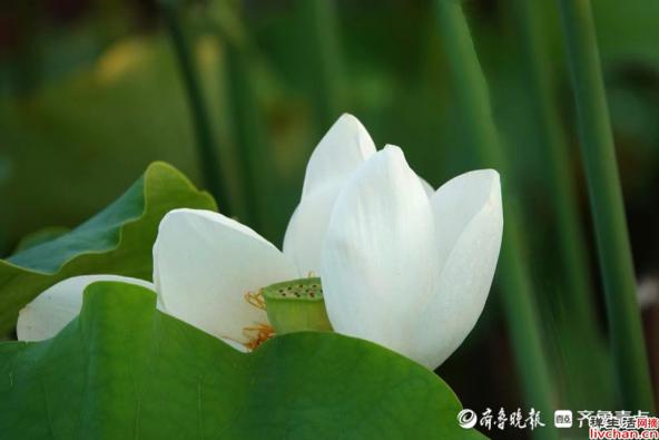 有没有哪句话让你突然就顿悟了？