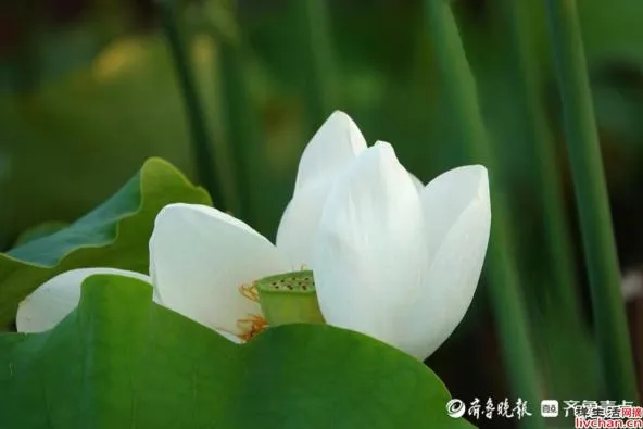 有没有哪句话让你突然就顿悟了?