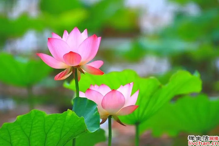 人这一生，这三个人是来渡你的人