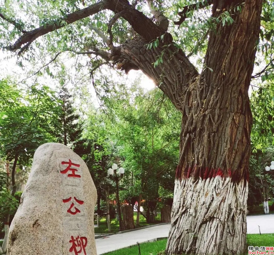 哈萨克斯坦--藏着一个定时炸弹