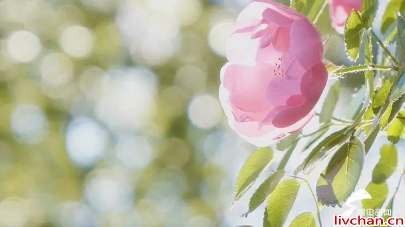 越活越清醒的30个道理