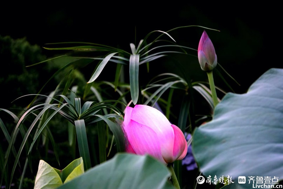 看谁都顺眼，是一种智慧，更是一种修行！