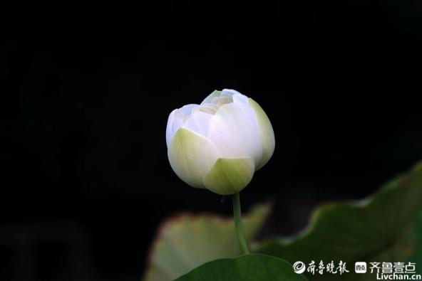 一生，何求？（经典）