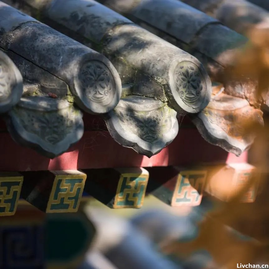 赏景｜静候园林里的第一阵风
