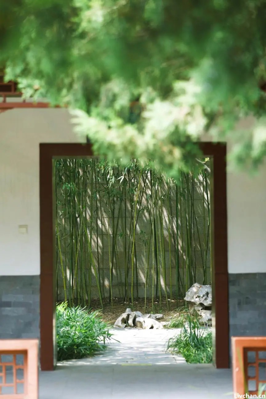 赏景｜静候园林里的第一阵风