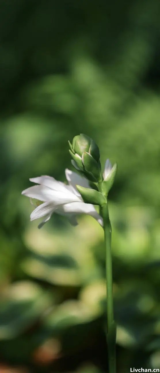 格局 = 结局（深度好文）