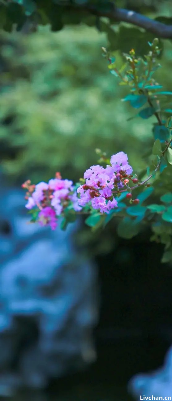 诗越读越厚,日子越读越薄,生命越读越轻 诗越读越厚,日子越读越薄,生命越读越轻