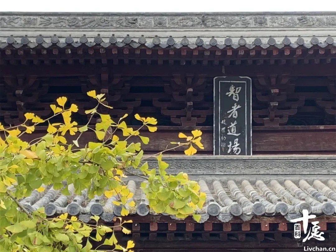 寺院门槛不能踩！其实并非像传言说的那样