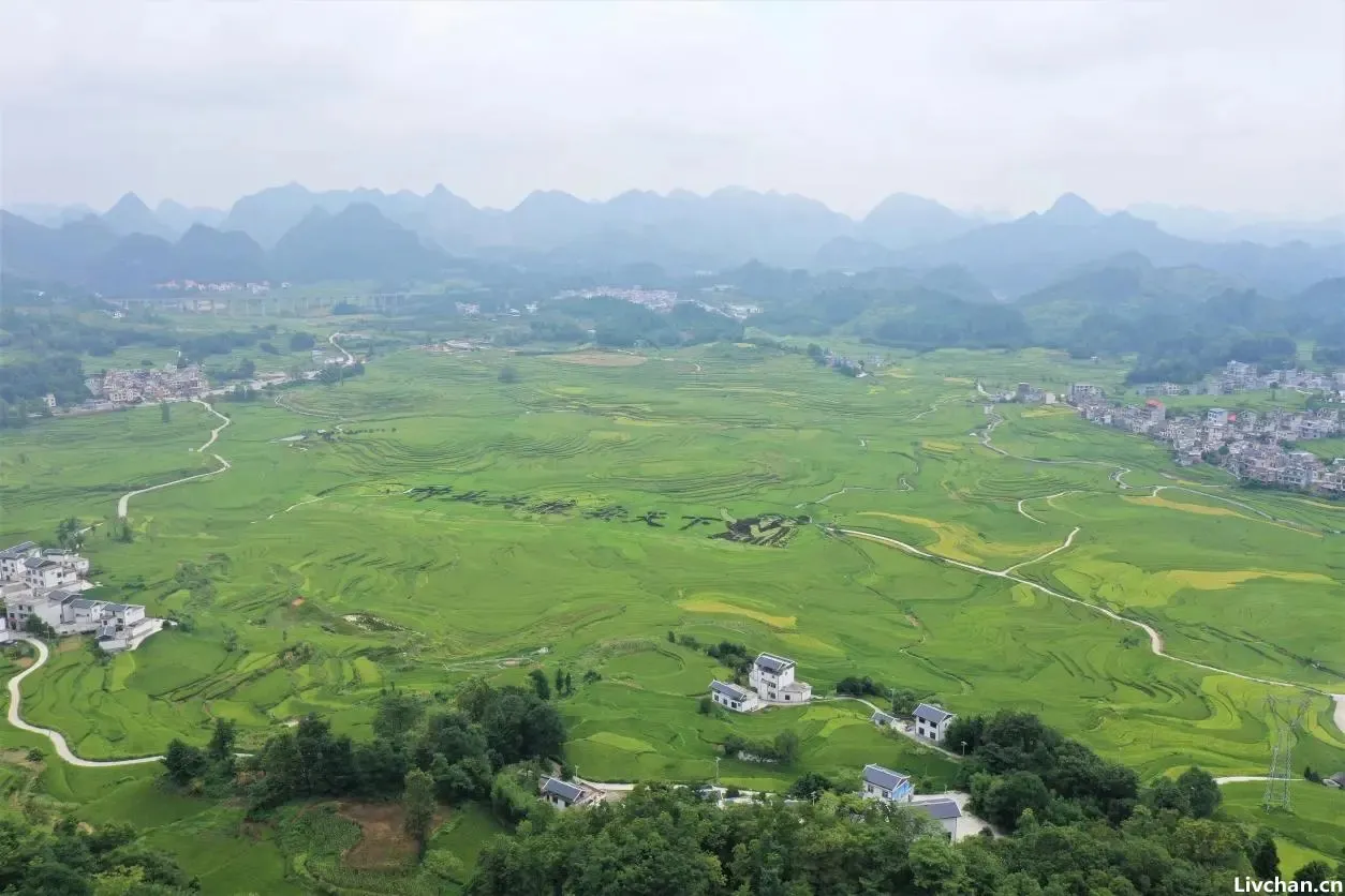 褚小者不可以怀大 绠短者不可以汲深
