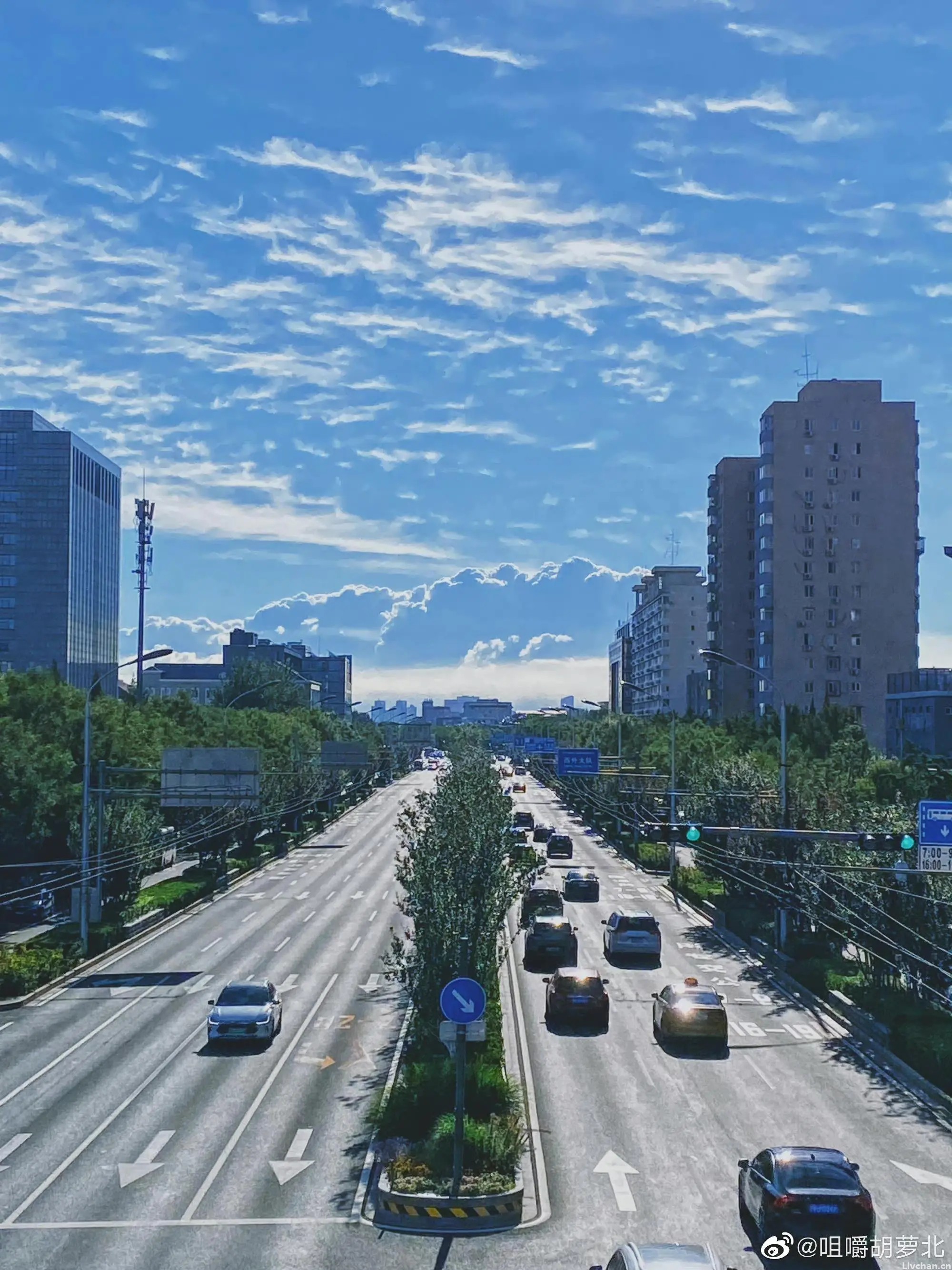 教 养（精辟）