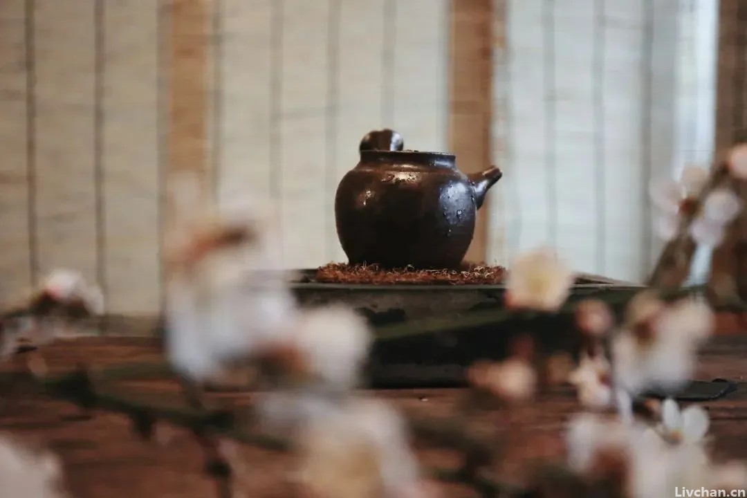 长期喜欢喝茶的人，到底是“养生”，还是“有害”？
