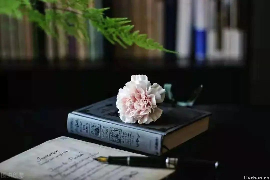 晚潮｜愿为一书虫