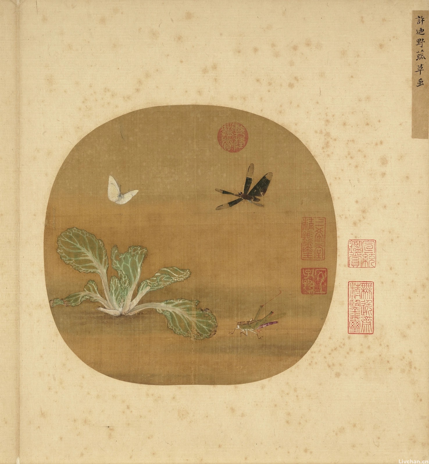 文人与种菜：最爱天真味，微物观不足
