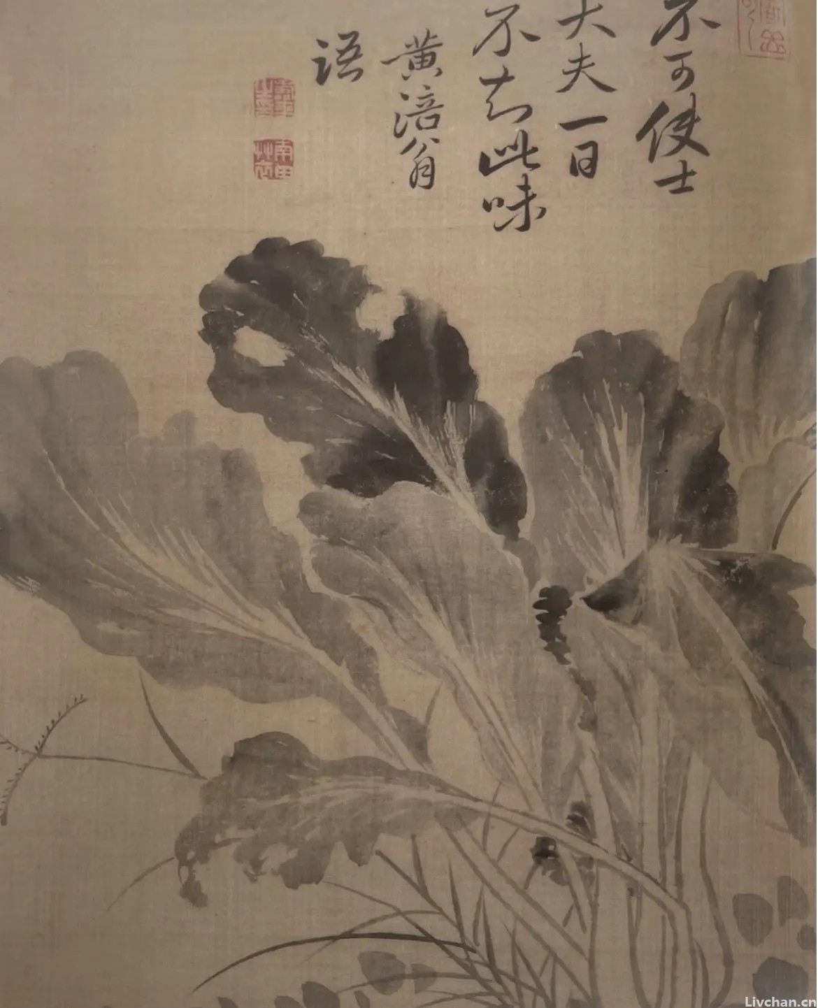 文人与种菜：最爱天真味，微物观不足