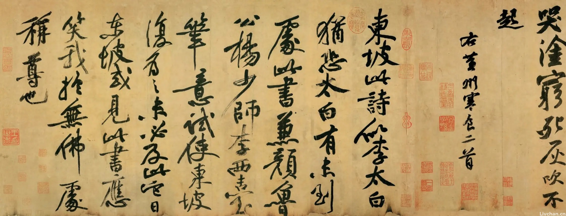 文人与种菜：最爱天真味，微物观不足