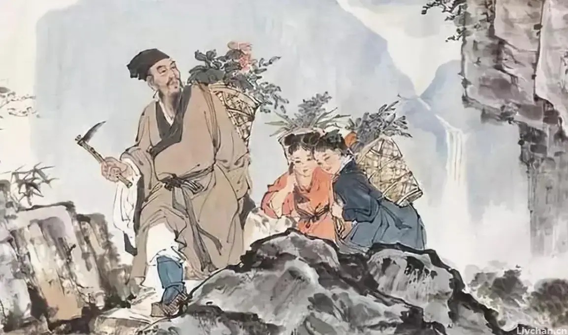 李时珍：三次科举落榜，因医术精湛被楚王钦点，任职次年便主动辞官回乡