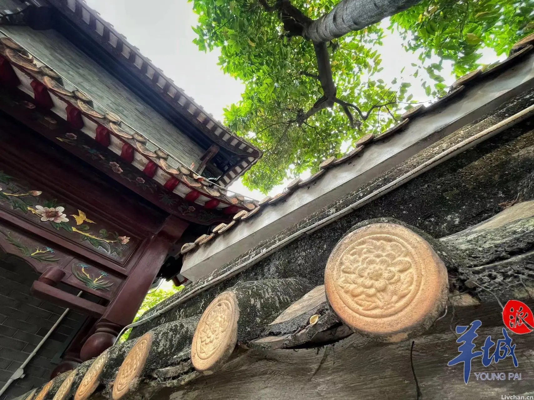 古诗页里听秋雨