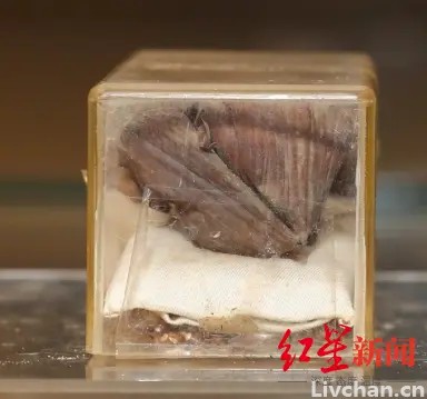 千年前的月饼、饺子、鸡蛋……从“考古食物”看饮食中国