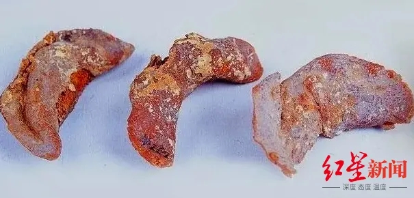 千年前的月饼、饺子、鸡蛋……从“考古食物”看饮食中国