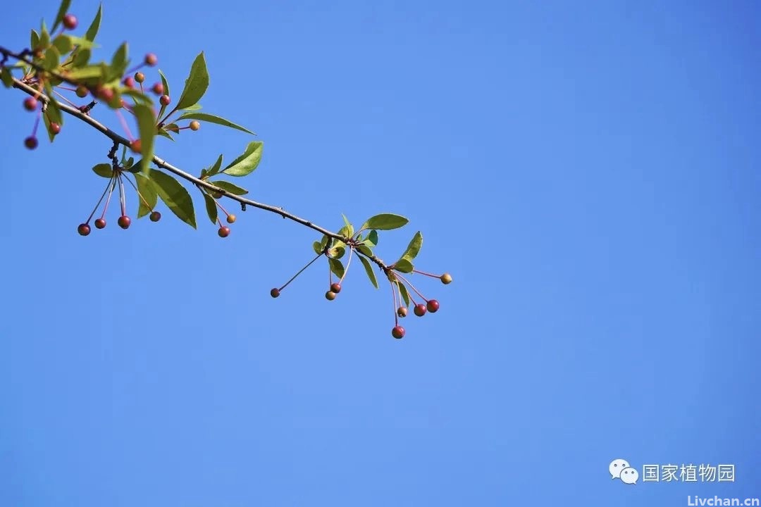 生命的高境界 生命的高境界