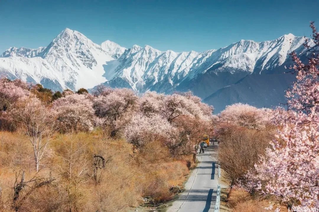 李白特别唯美一首诗，短短4句，让人陶醉其中，结尾更是流传千年