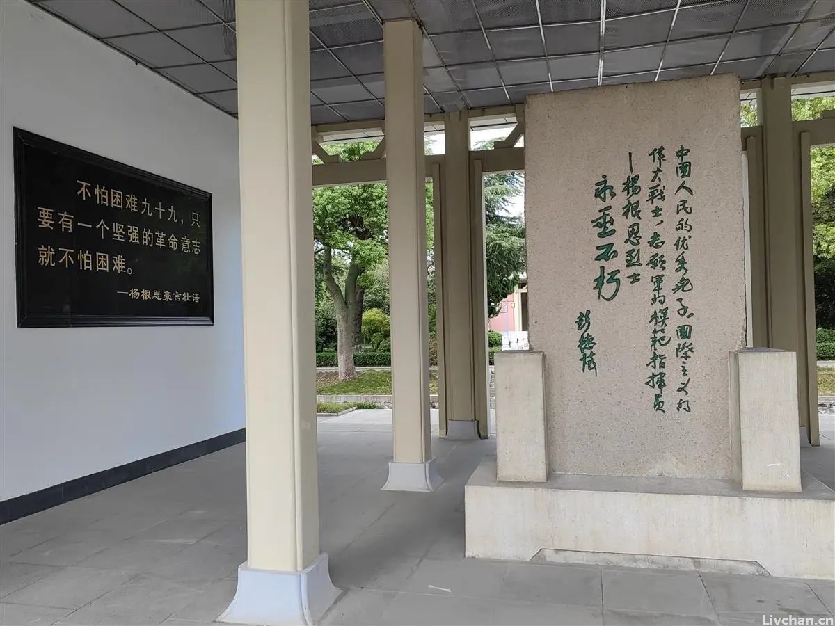志愿军首位特级英雄杨根思：怀抱炸药包与敌同归于尽，故乡为其改名为“根思乡”