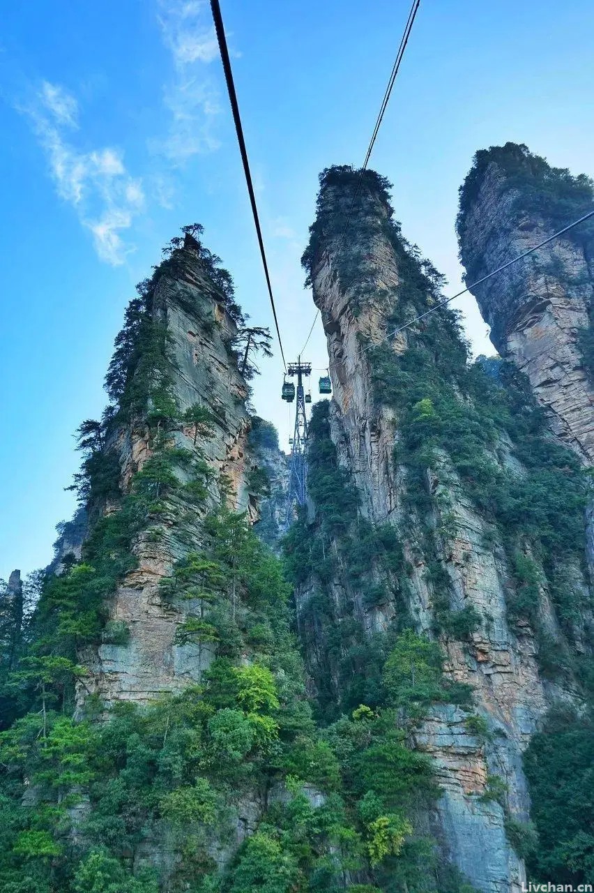 优美诗词摘句20条