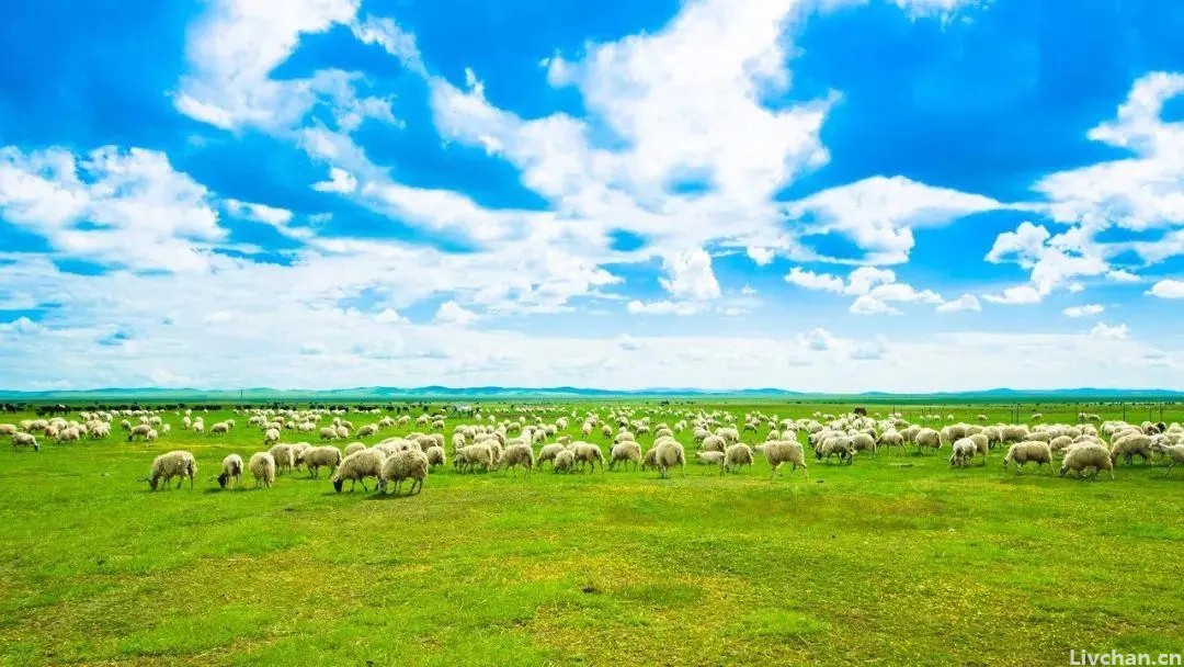 《红楼梦》耐人寻味的30个经典名句，感悟世事无常，人生如梦!