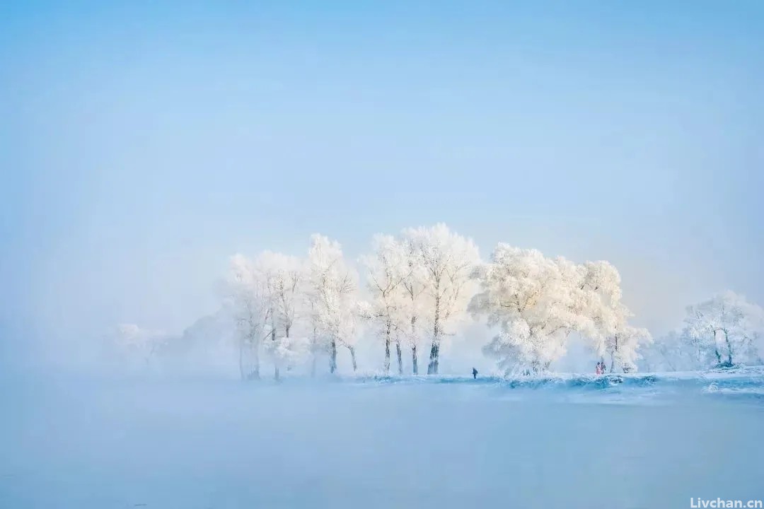 杜甫鲜为人知的七律，充满意趣，颔联乃传世名句！