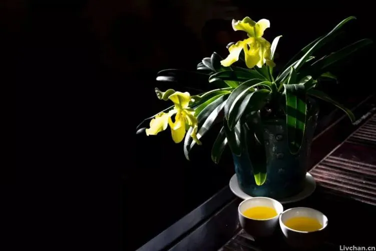 生活随缘就好,别太在意人走茶凉
