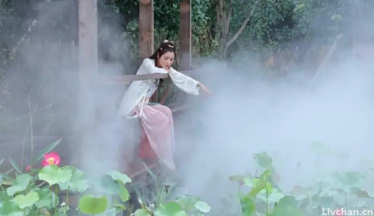 李清照悼念亡夫的词，感情真挚，开篇引人入胜，不愧是千古大才女
