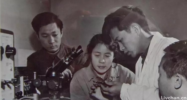 “芯片之母”黄令仪：摆脱西方芯片垄断，“龙芯3号”惊艳全球