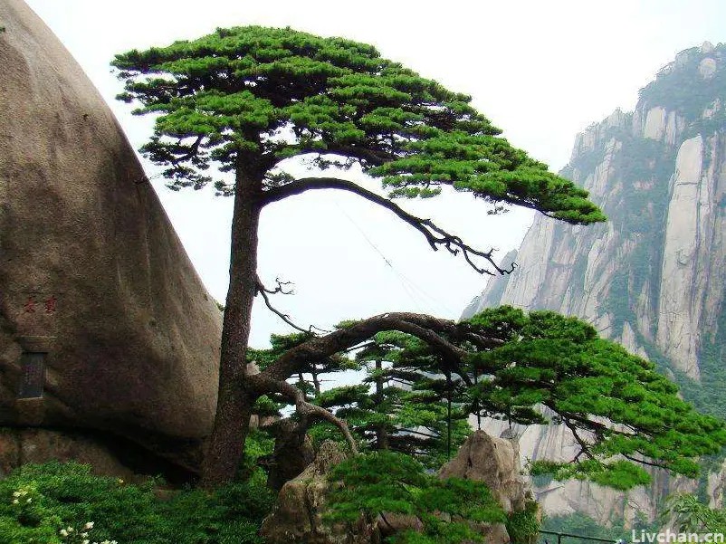 这首描写秋天的宋诗，真是美到了骨子里，后两句尤其经典