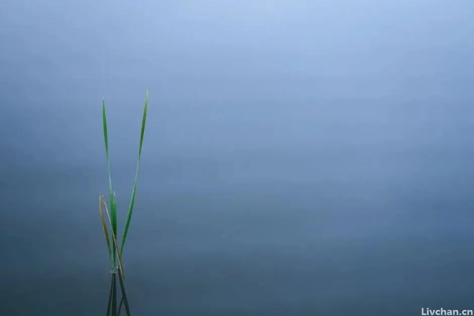 苏轼不可不读的词，人间万事，不过如此！
