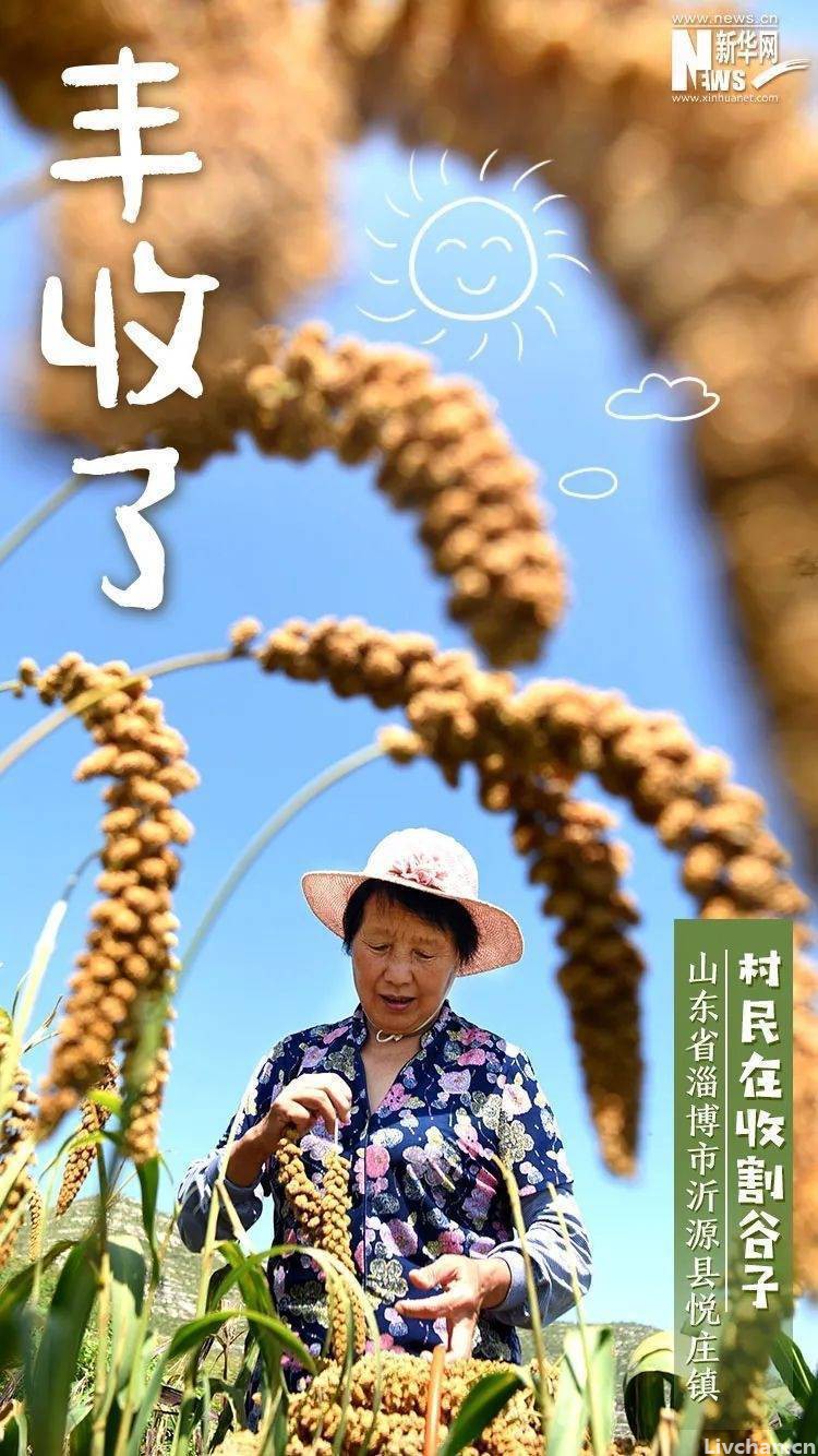诗歌-秋分时节-这个金秋，愿所有期盼终结硕果