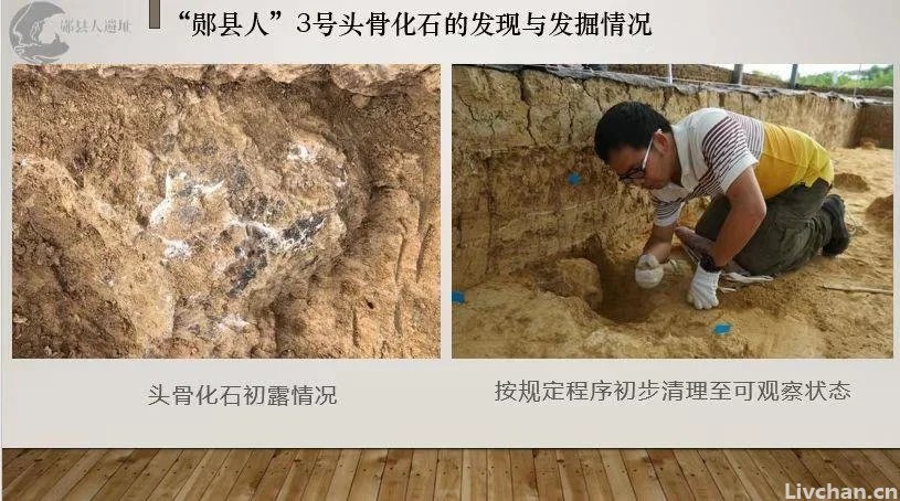重磅！湖北发现迄今欧亚内陆同时代最完整的直立人头骨化石