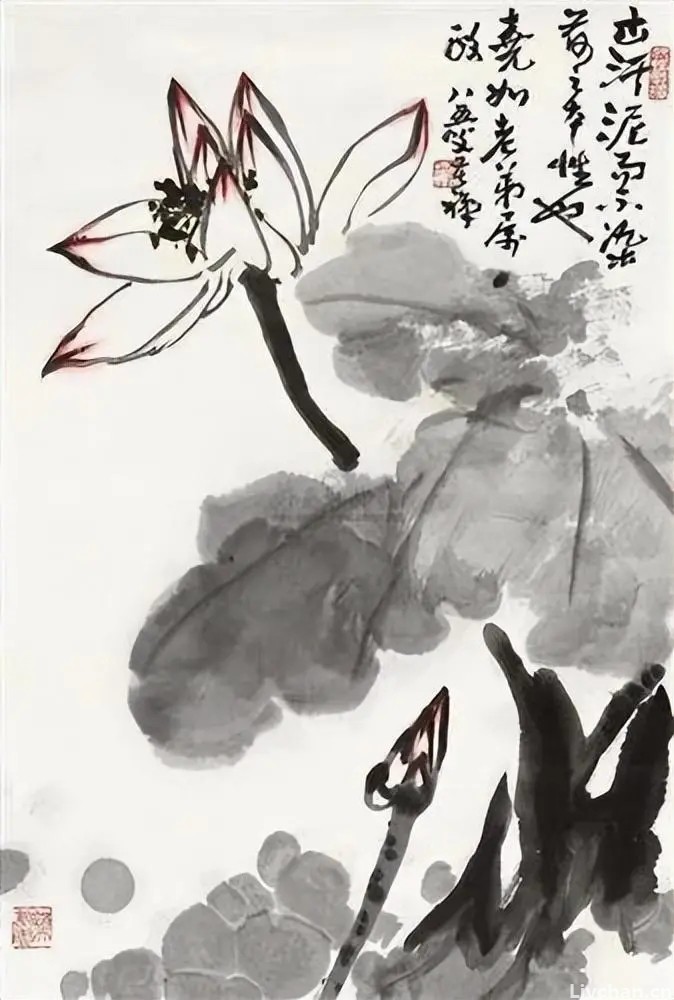 岁月别催，过往不追，活出一个无憾的人生
