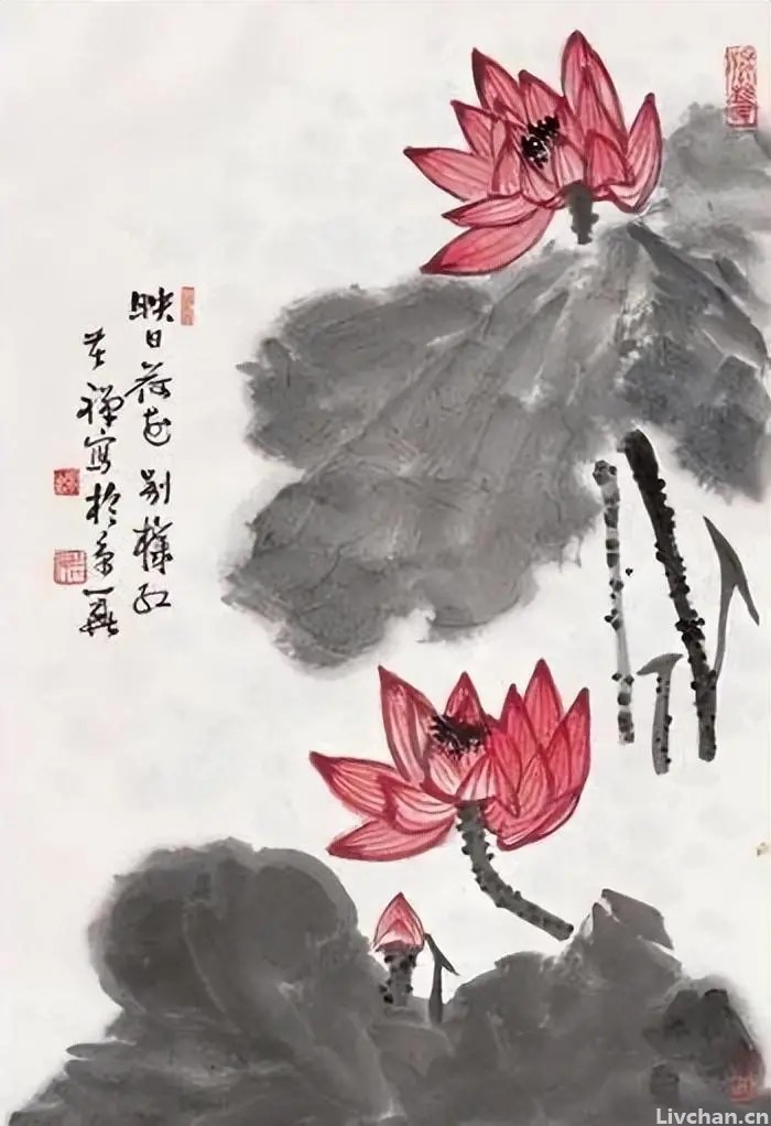 岁月别催，过往不追，活出一个无憾的人生