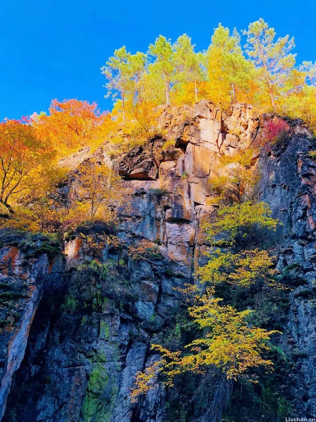 这辈子，这两件事靠得住（深度好文）