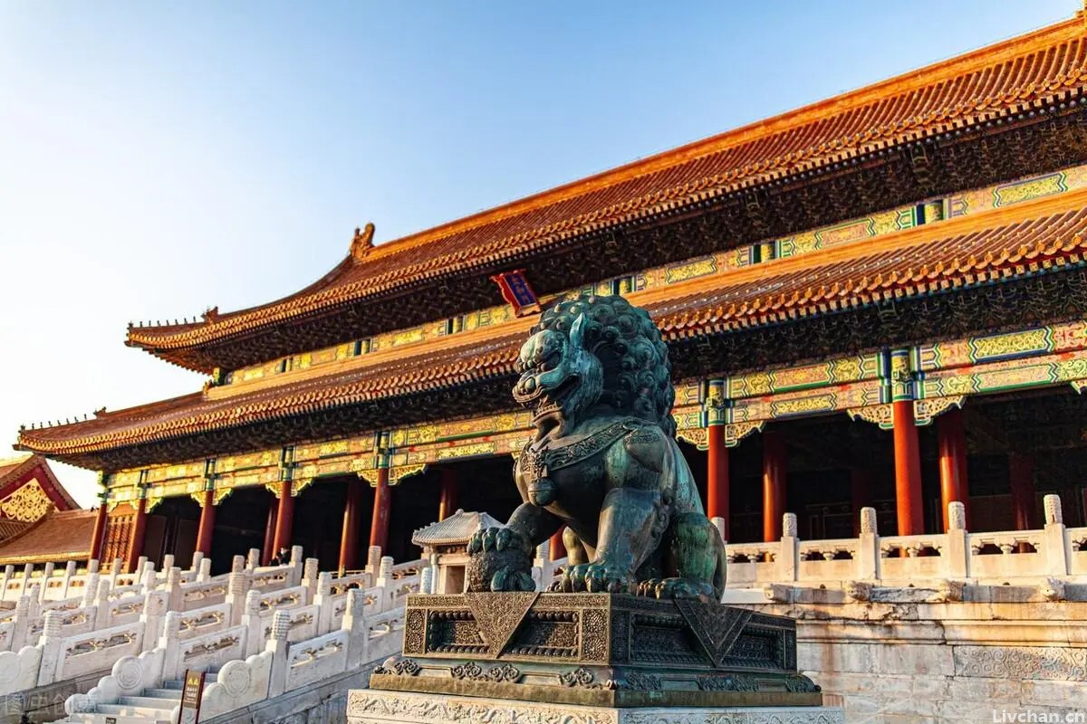 阿娟带你打卡贵州，发现千年金丝楠木，价值不可估量！