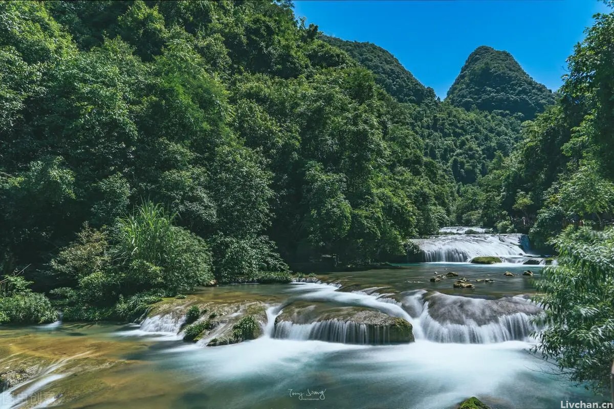 阿娟带你打卡贵州，发现千年金丝楠木，价值不可估量！
