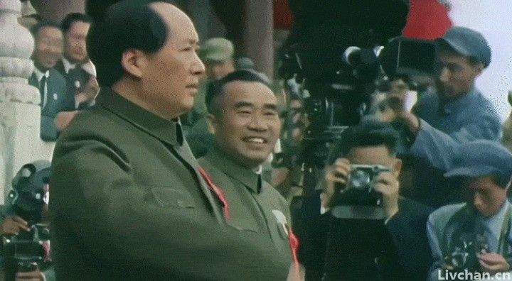 动图封面