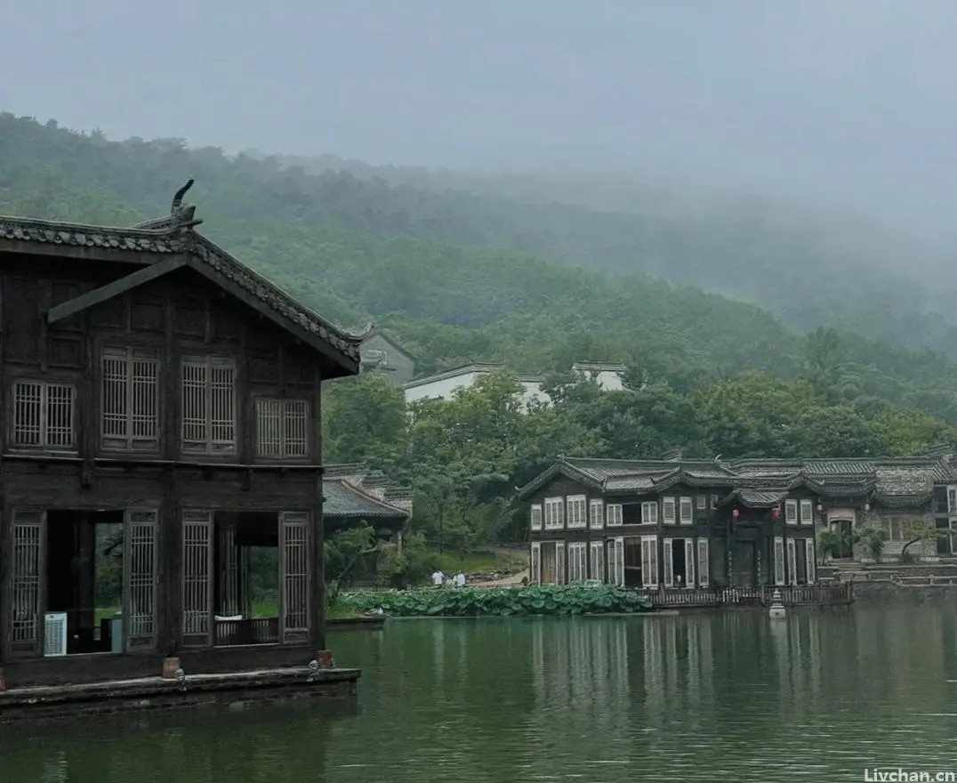光年， 站成一树枯藤（外一首）